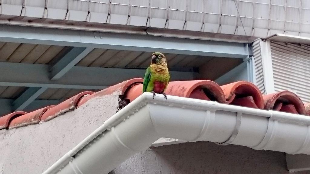 Gávea BNB Rio de Janeiro Exterior foto